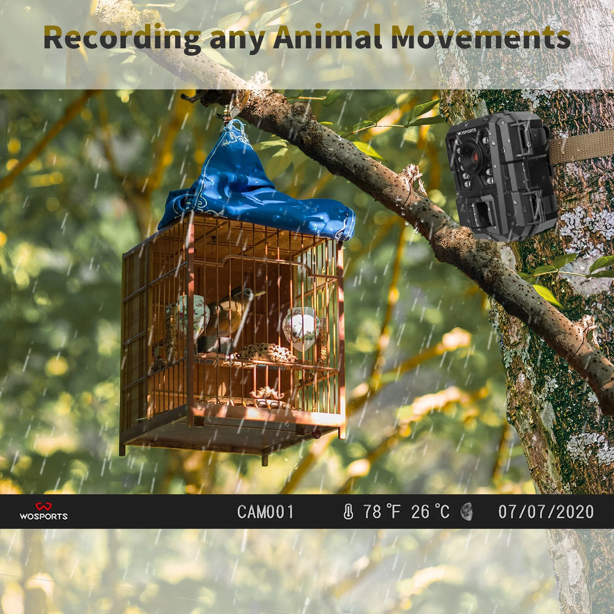 Mini Trail Camera 24MP 1080P Waterproof Infrared B954