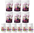 6-Month Supply Chewable Multivitamin with Iron and Calcium Citrate F92009