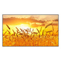 43" High Brightness Smart Outdoor Television H40866