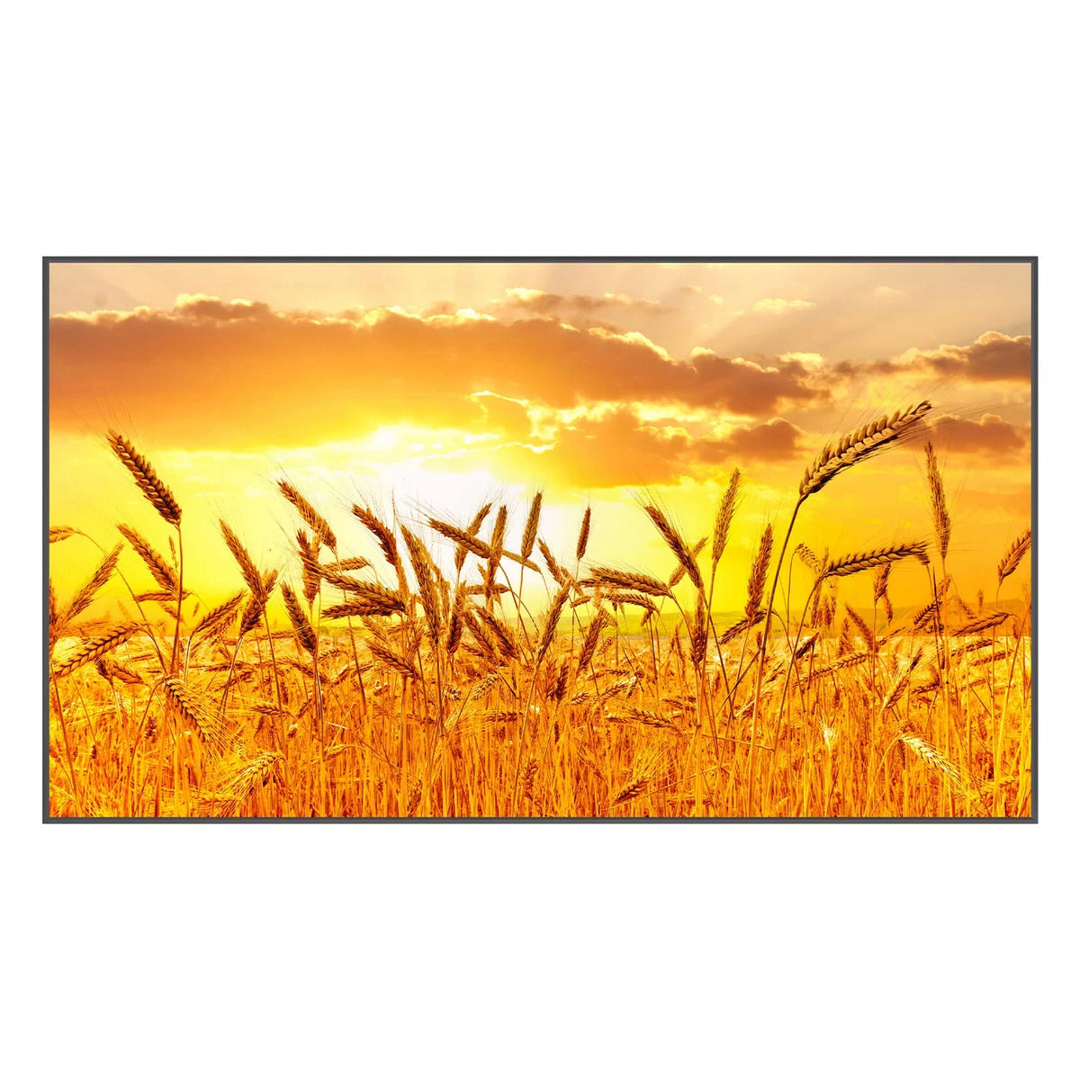 43" High Brightness Smart Outdoor Television H40866