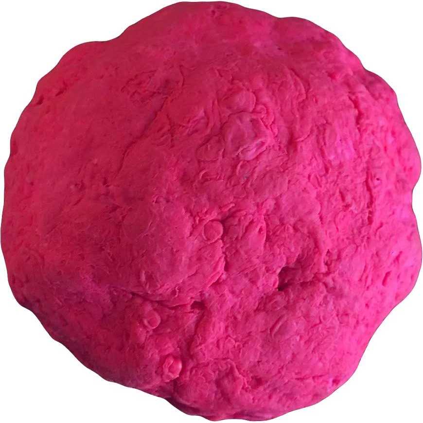 Dog Toy B4929