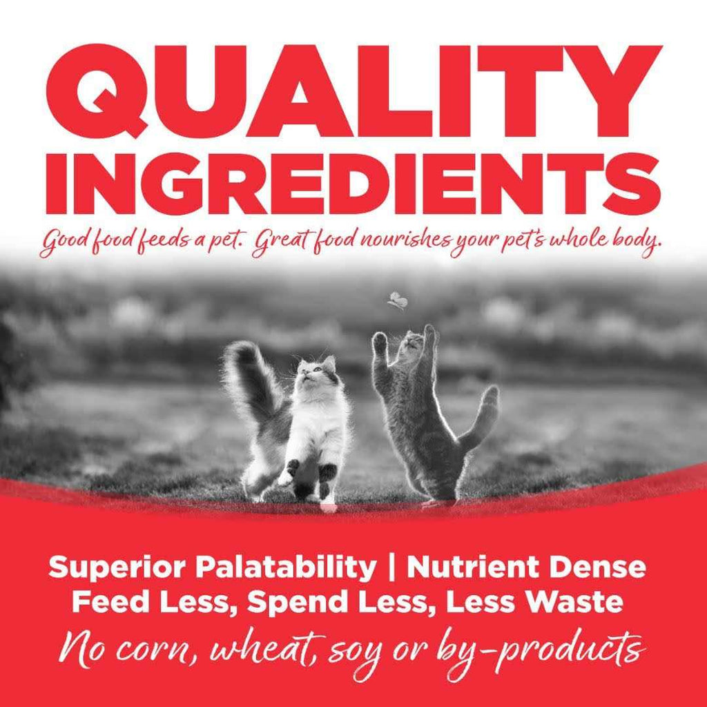 Grain Free Cat Food F108