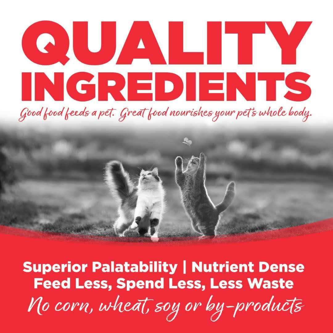 Grain Free Cat Food F108