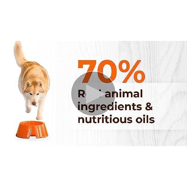 Grain Free Real Rabbit Dry Dog Food L60060