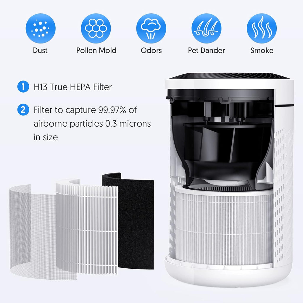 HEPA Air Purifier with PM2.5 Smart Sensor, H13 True HEPA, 22dB Q851