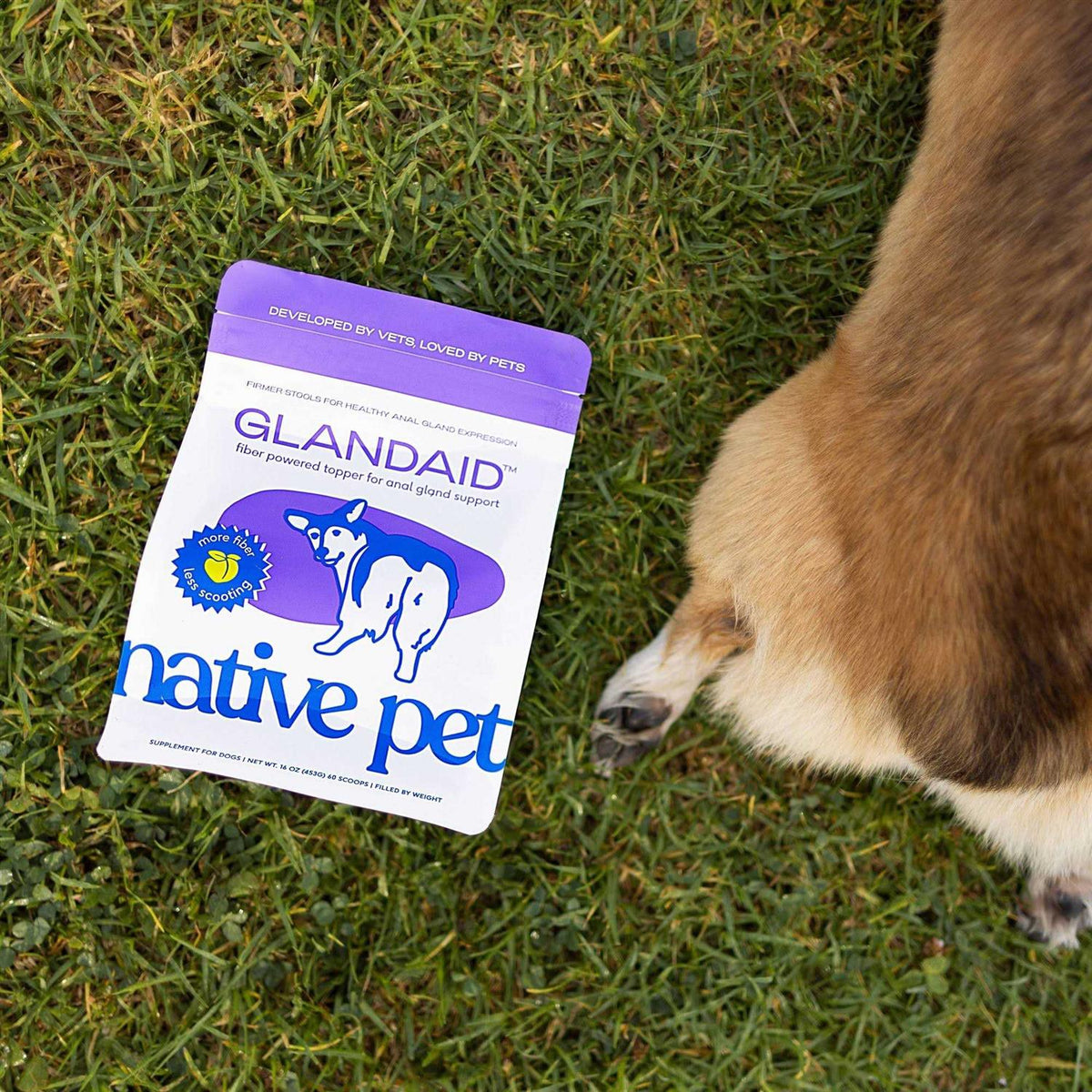 Anal Gland Supplement for Dogs R46862