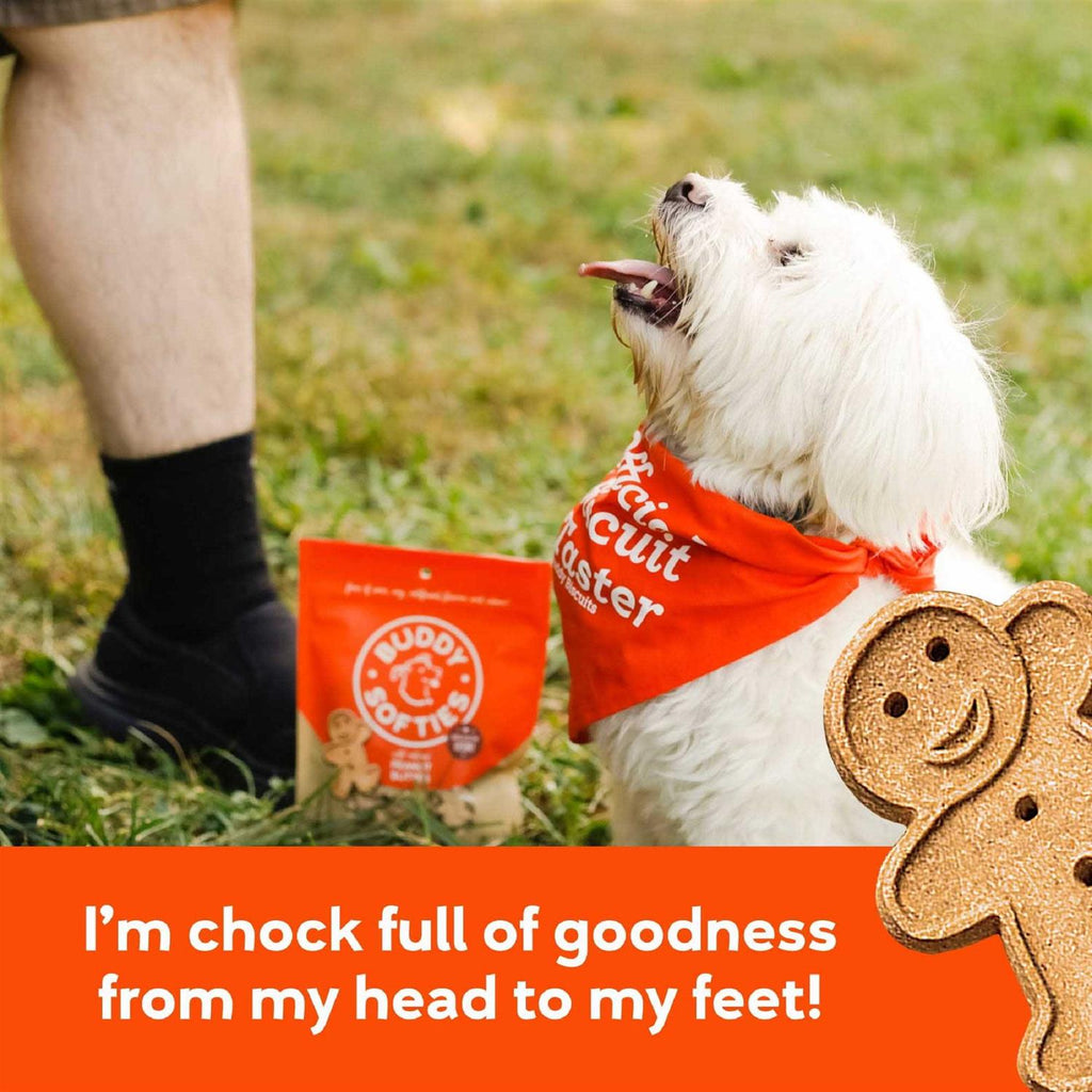 Peanut Butter Soft and Chewy Dog Treats Z232305