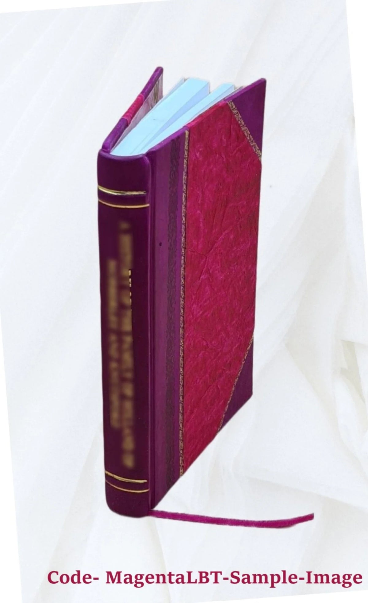 Leather Bound Transcript of Record V295