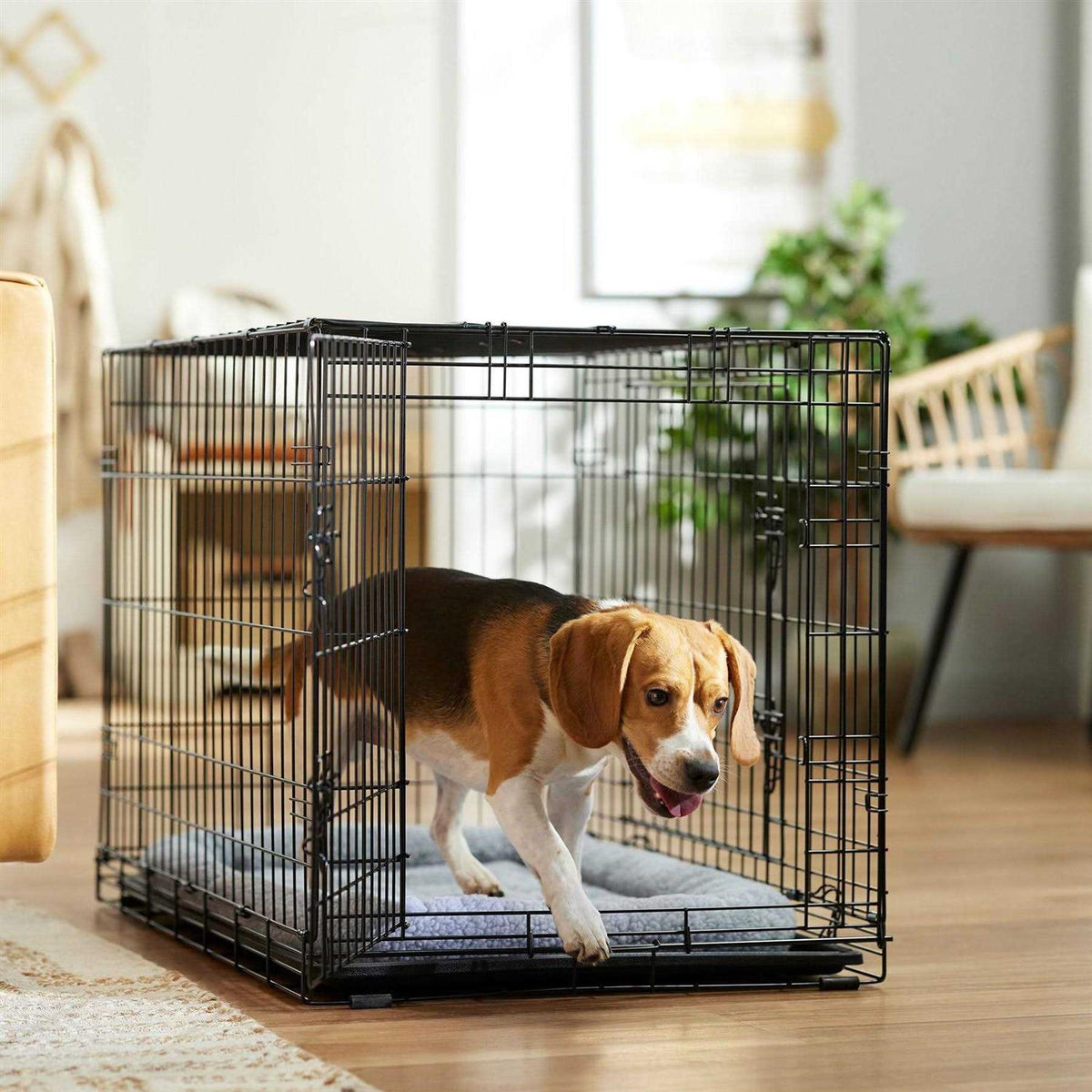 Heavy Duty Fold & Carry Double Door Collapsible Wire Dog Crate O151931