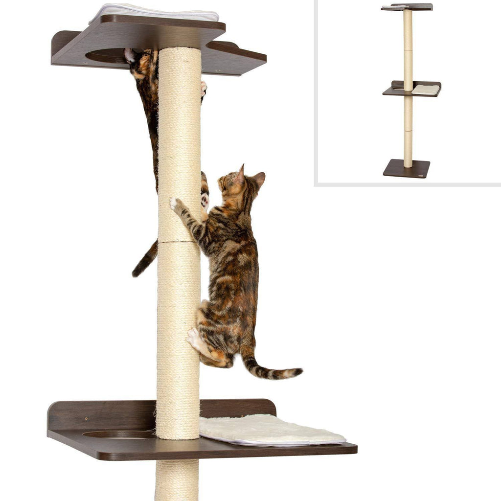 Cat Climbing Tower and Activity Tree with Sisal Scratching K904