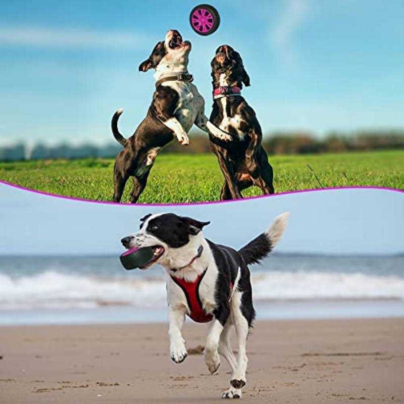 Dog Toy K7309