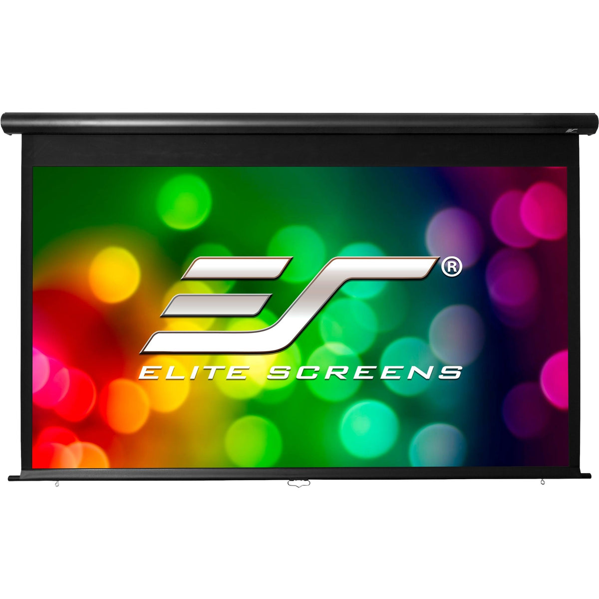 Manual Projection Screen V480