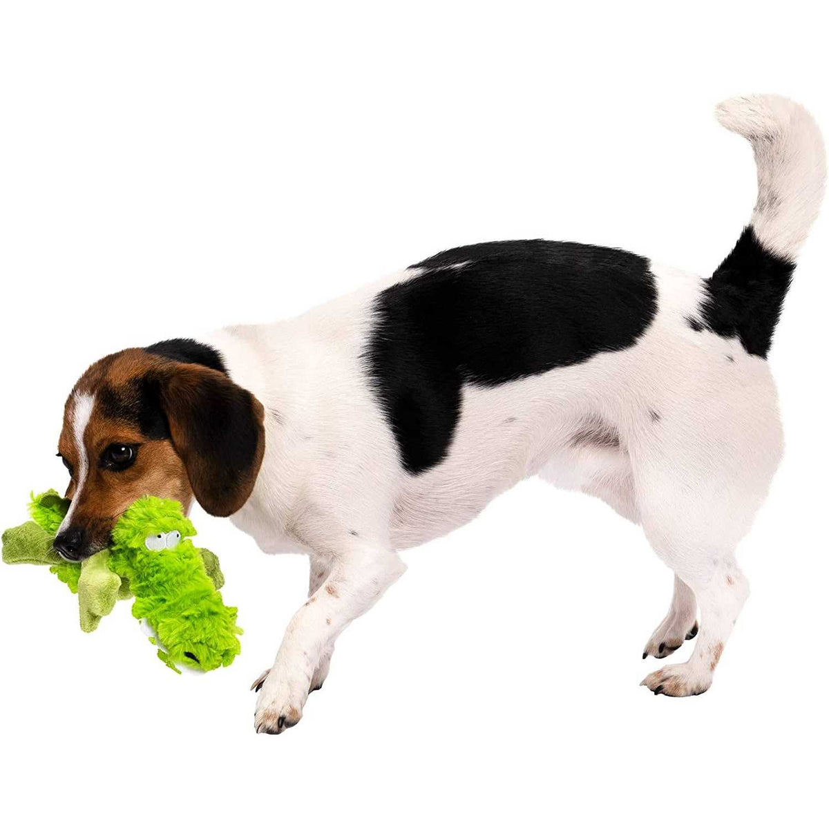 Dog Toy U79409