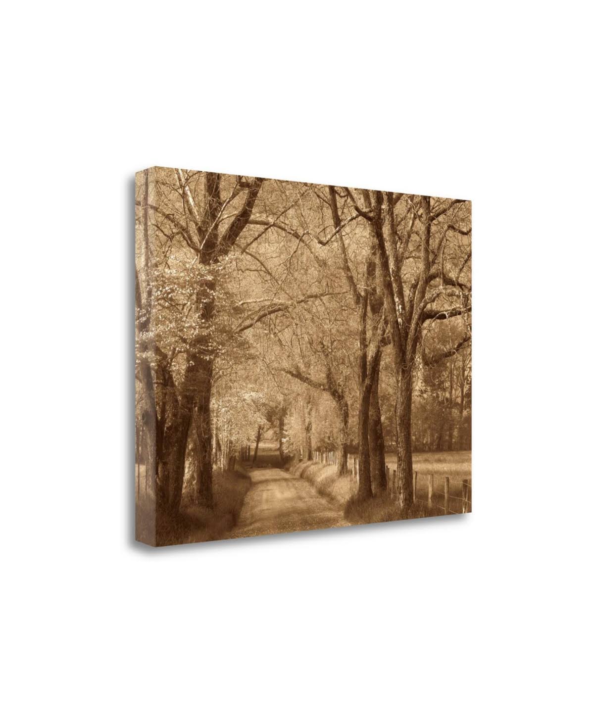 Smokies Road Fine Art Giclee Print S168