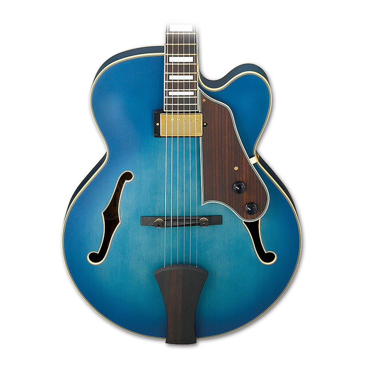 Jet Blue Burst Hollowbody Electric Guitar W608553