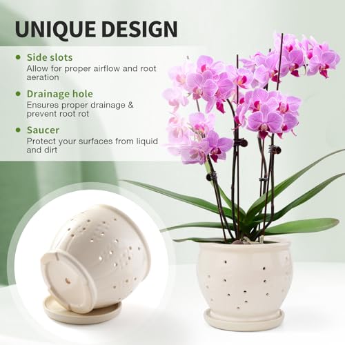 6.3" Ceramic Orchid Pots with Holes Crackle Glazed with Drainage and Separate Saucer White I93529