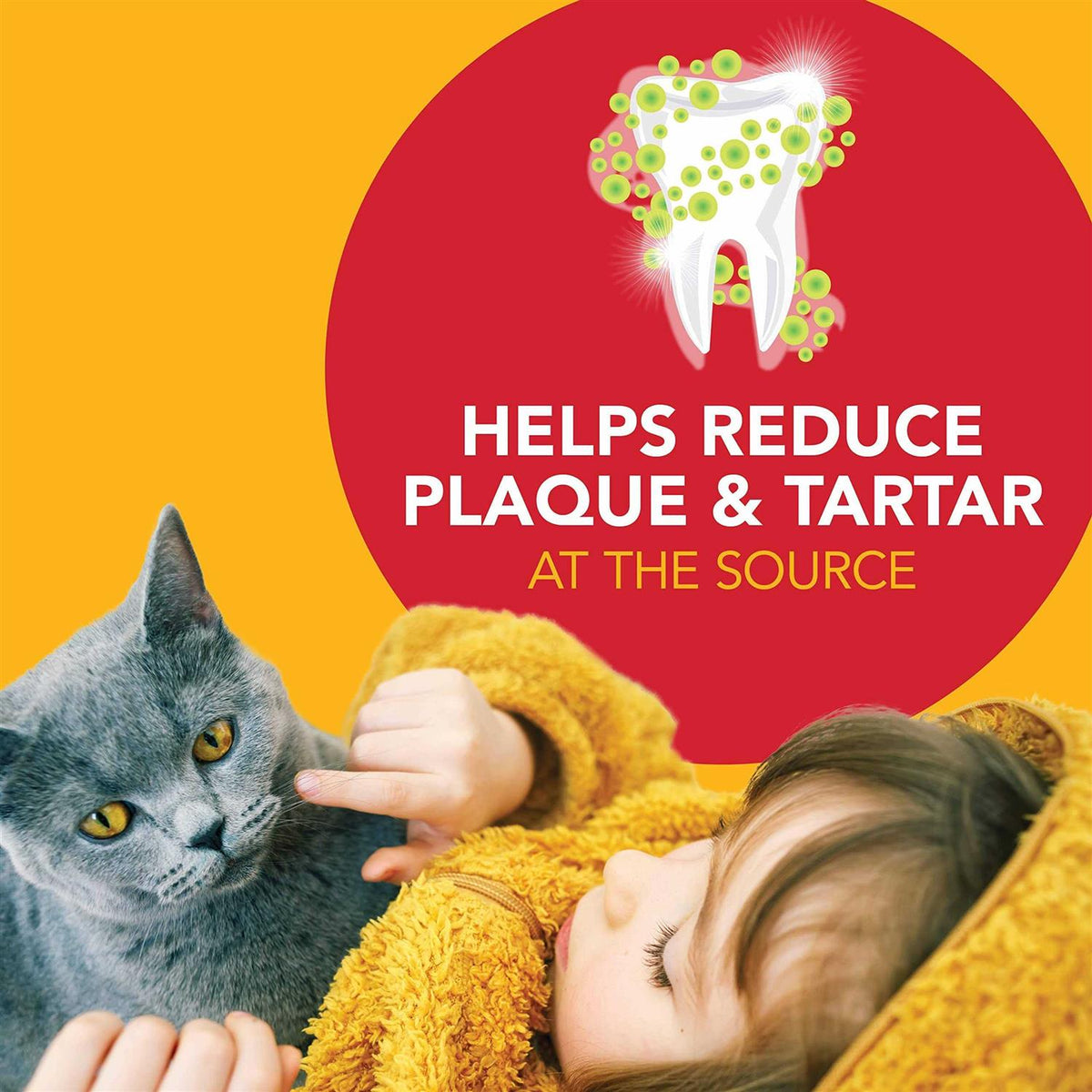 Dental Kit for Cats K1857