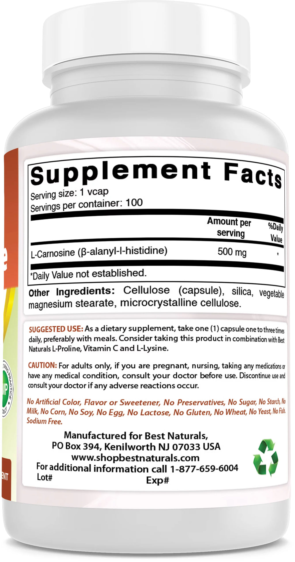 500 mg 100 Vegetarian Capsules P96842