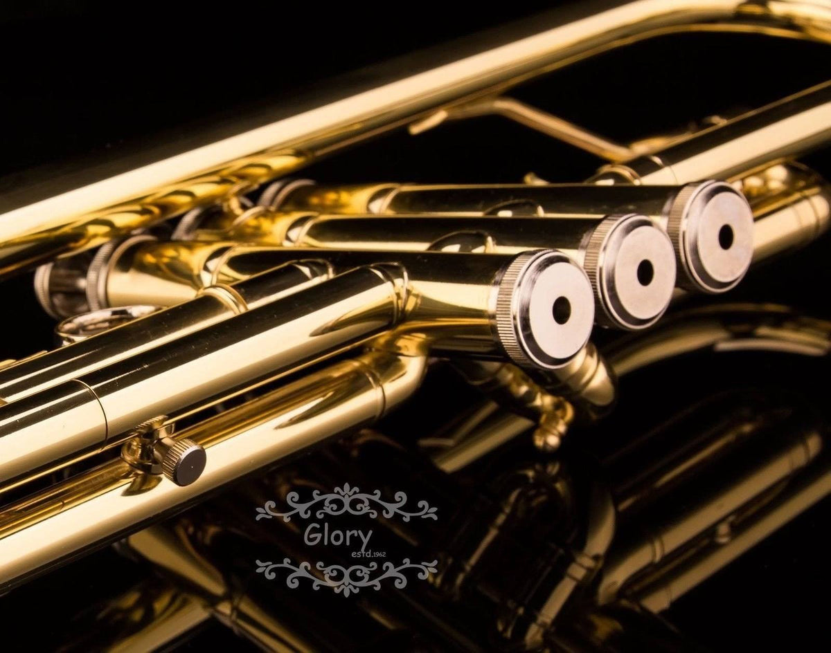 Brass Bb Trumpet with Pro Case and Care Kit L41896