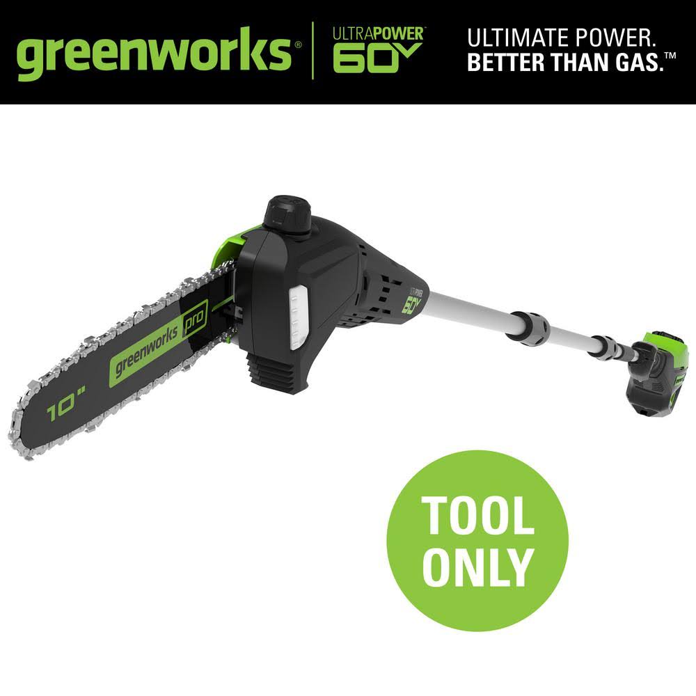10 in. 60-Volt Cordless Pole Saw W2679
