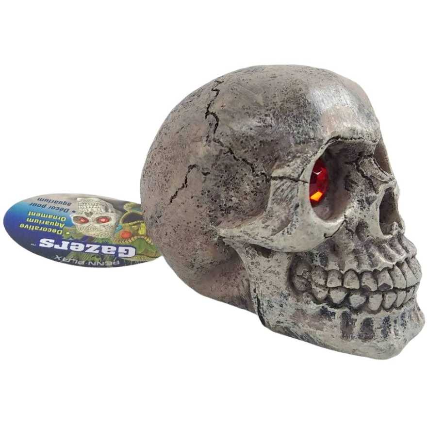 Skull Gazer Ornament W42253