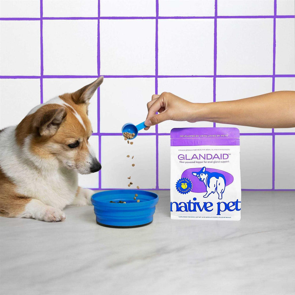 Anal Gland Supplement for Dogs R46862
