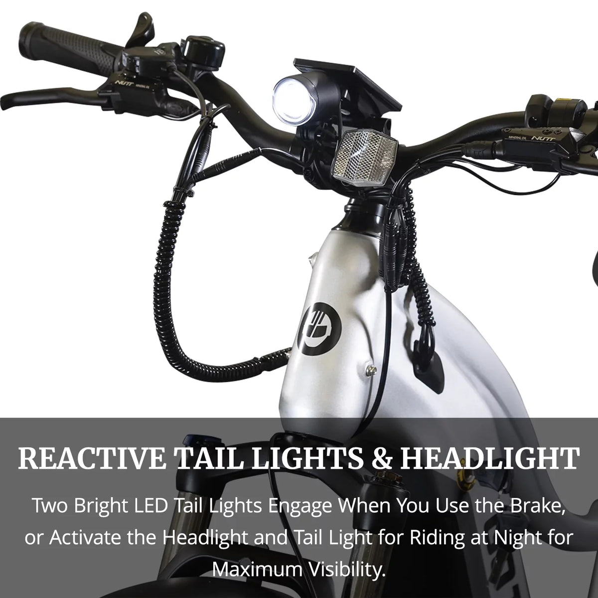 750W 48V 26 x 4 Fat Tire Electric Bike Q719