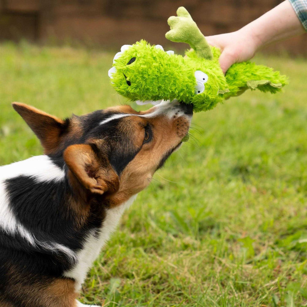 Dog Toy U79409