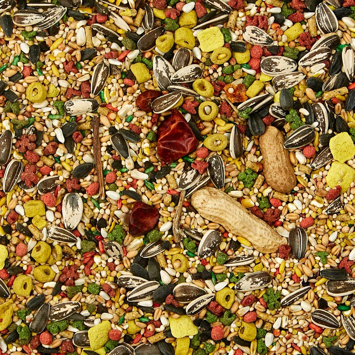 Conure Food P92237