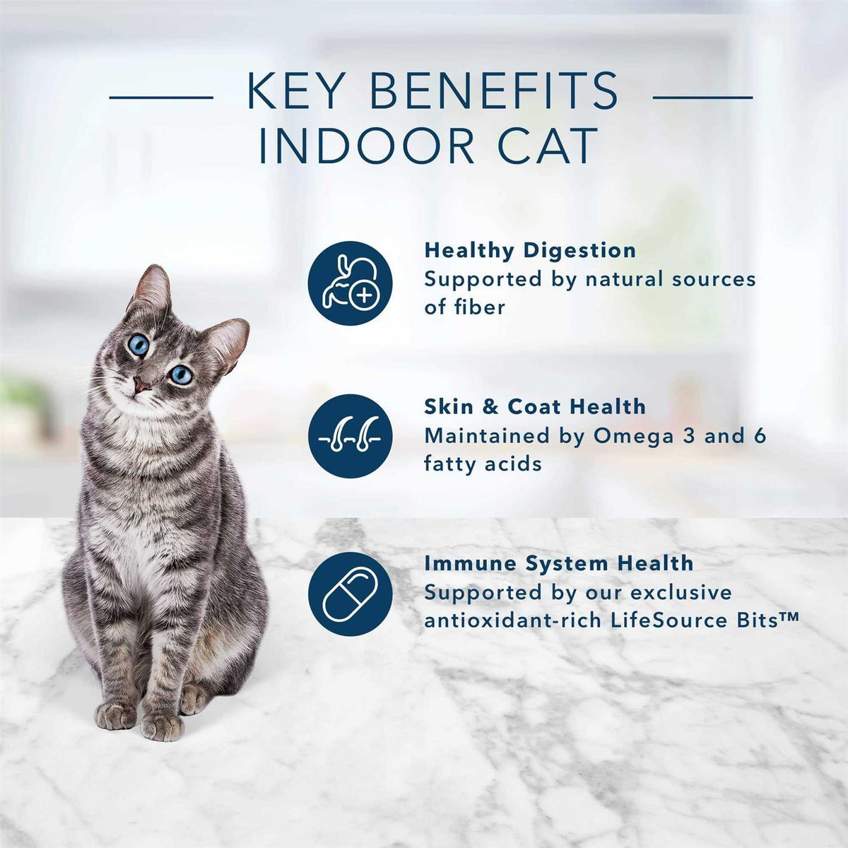 Adult Dry Cat Food H3565