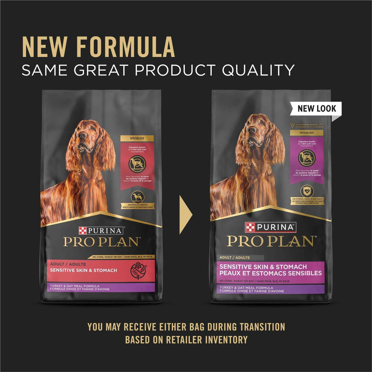 Dry Dog Food A42094