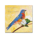 Bluebird Canvas Art S58251