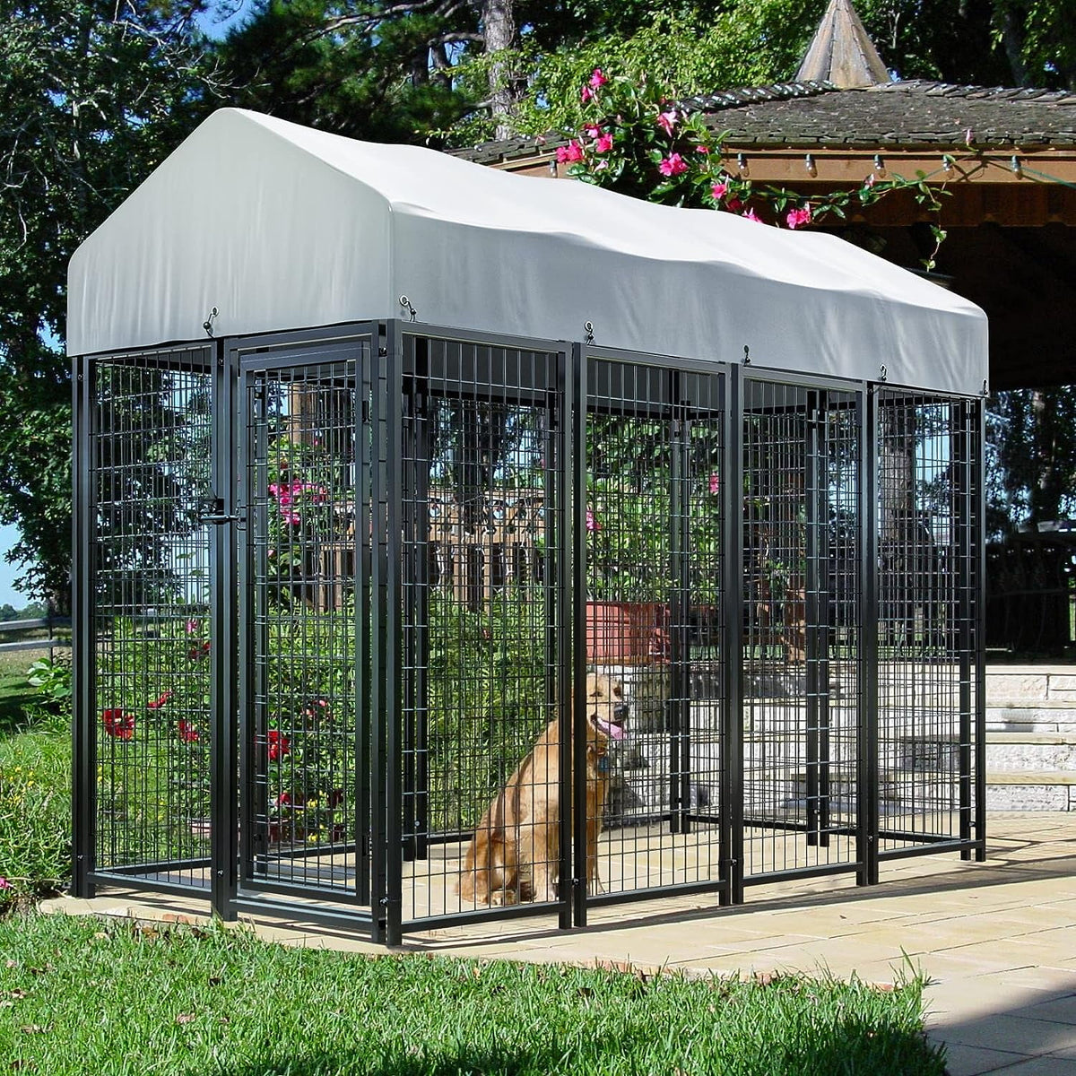 8x4x6ft Heavy Duty Welded Wire Outdoor Dog Kennel with Roof Y7338
