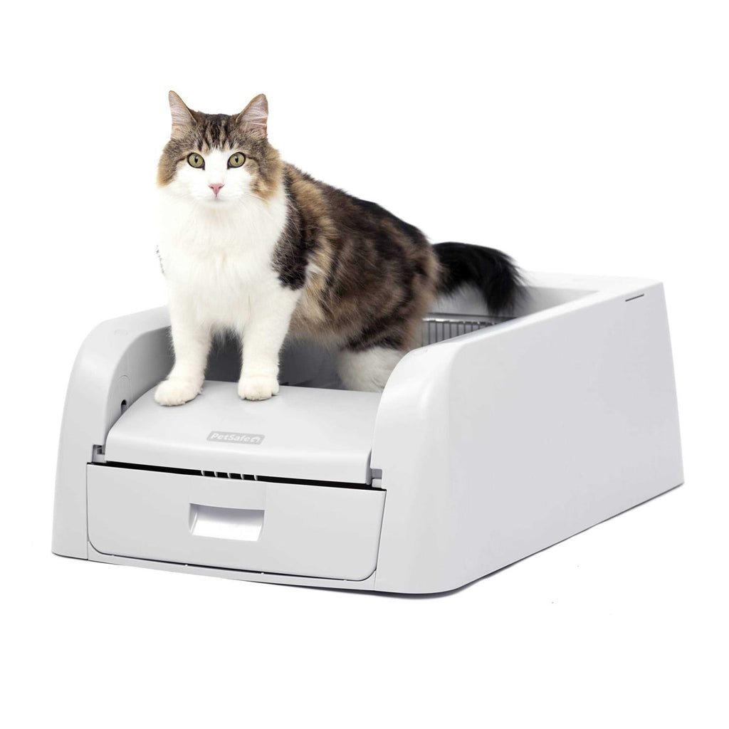 Self-Cleaning Litter Box G26897