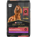 Dry Dog Food A42094
