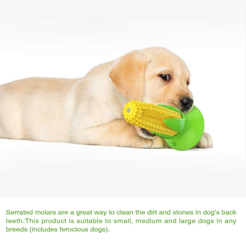 Puppy Teething Chew Toys M41905