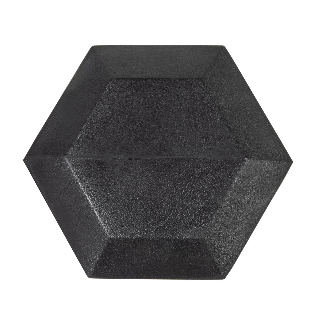 25lb Rubber Hex Dumbbell F546549
