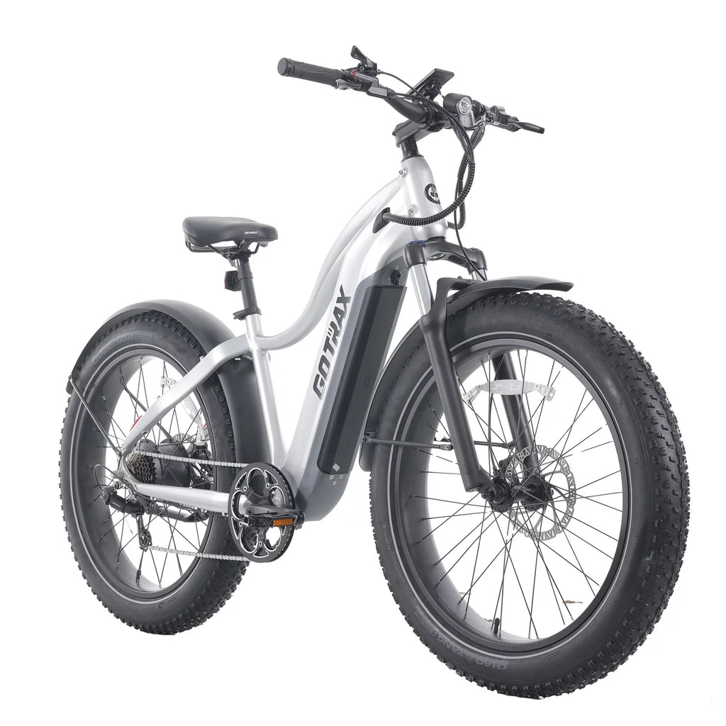 750W 48V 26 x 4 Fat Tire Electric Bike Q719
