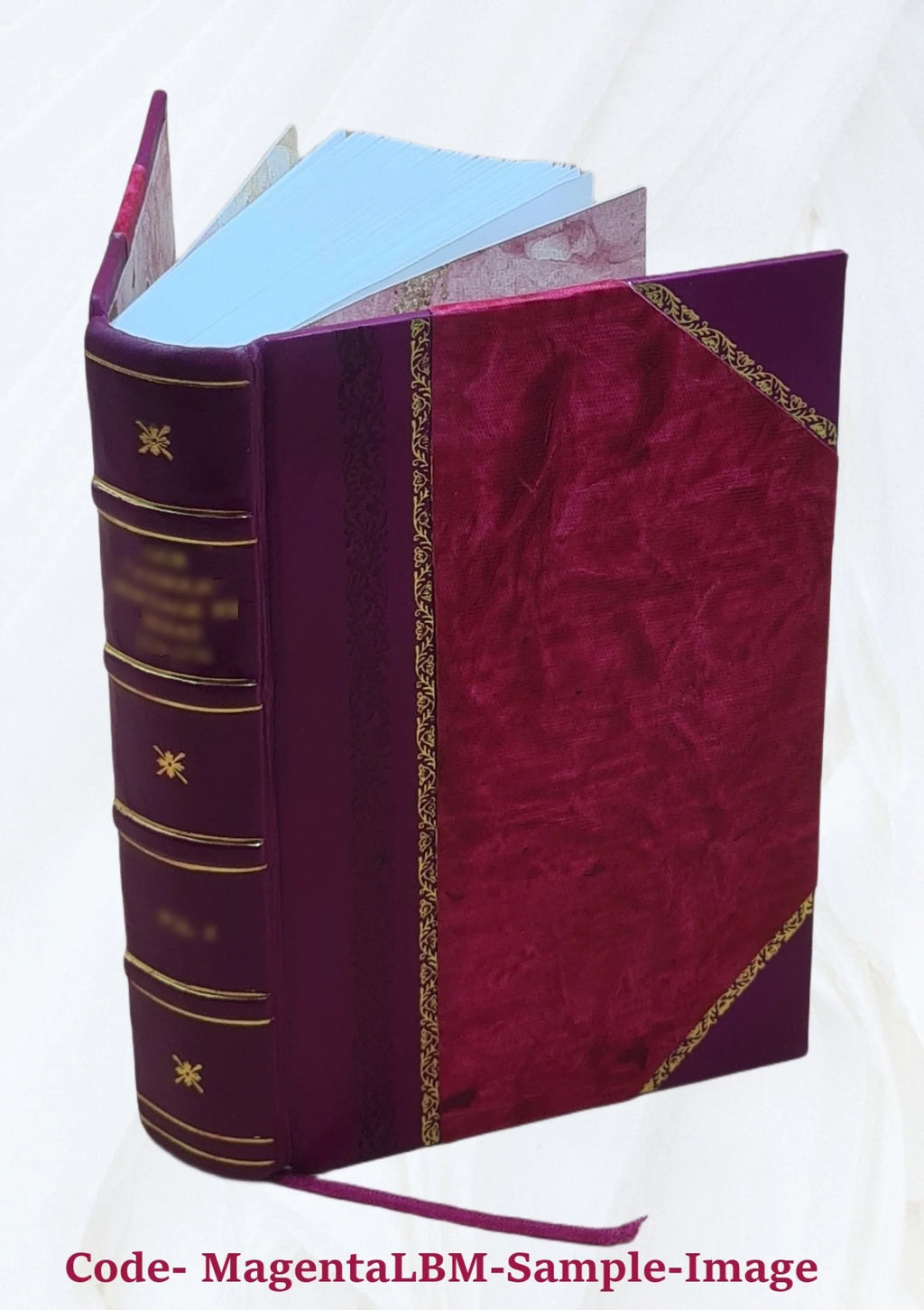 Annual report Secretary of the Interior Leather Bound H1907