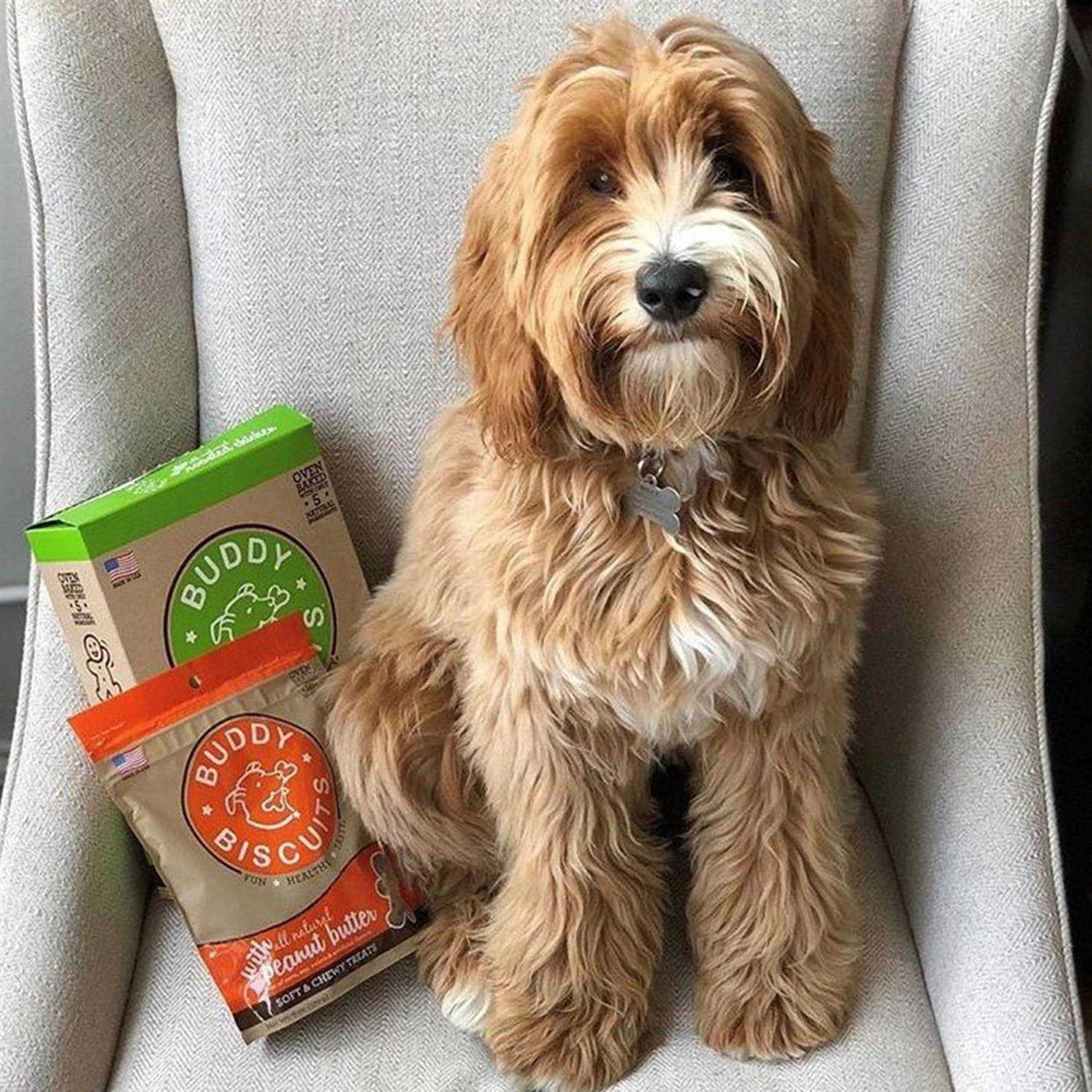 Peanut Butter Soft and Chewy Dog Treats Z232305