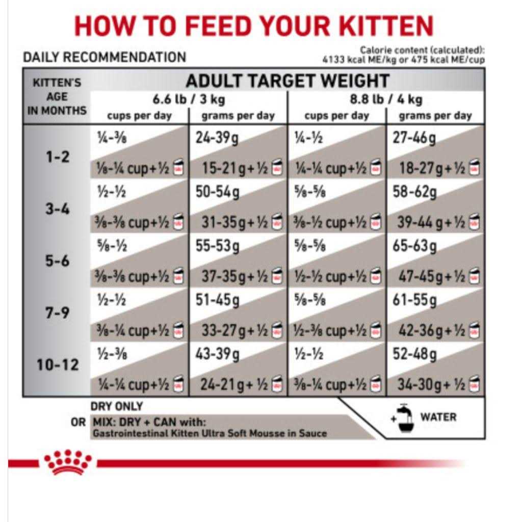 Kitten Dry Cat Food F22811