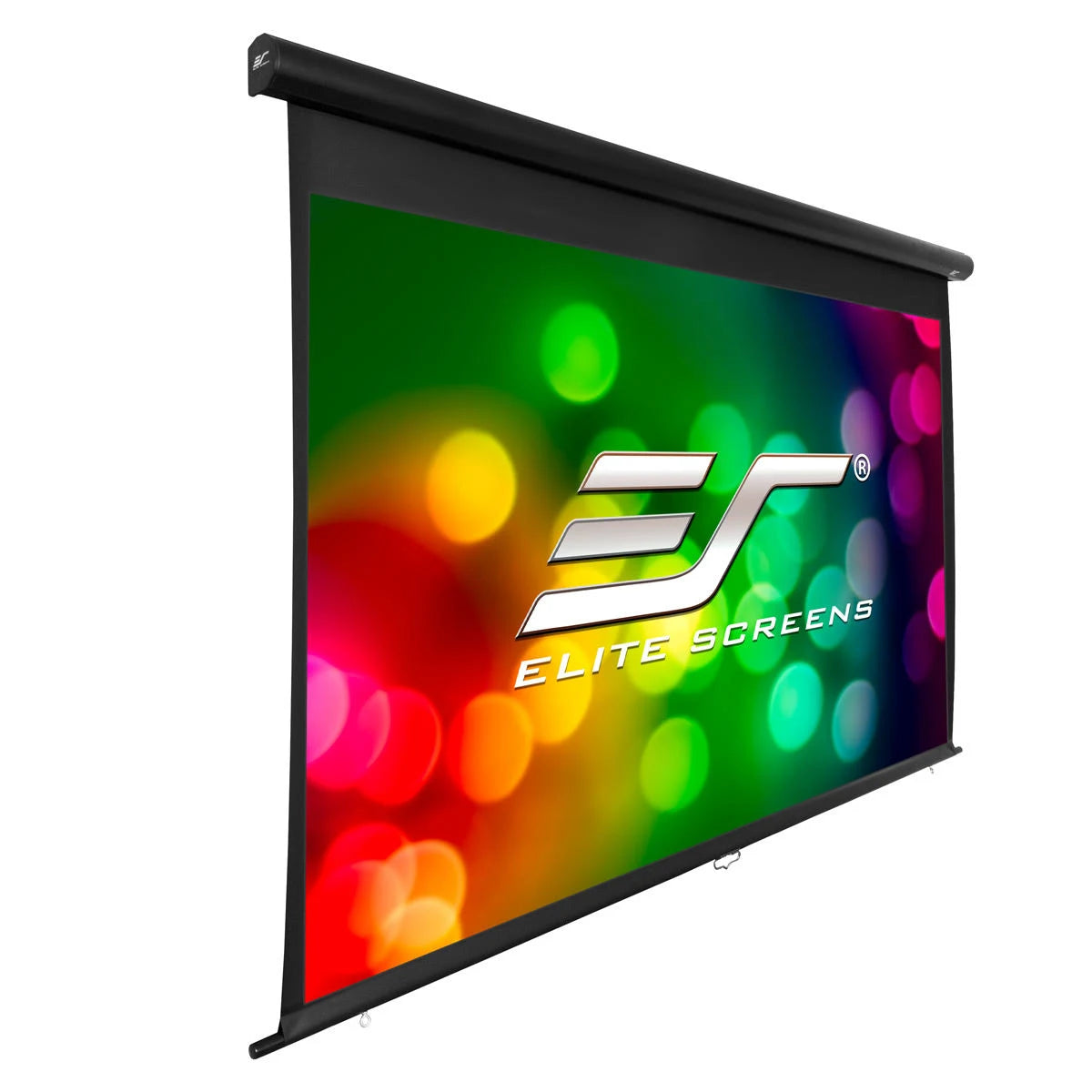 Manual Projection Screen V480