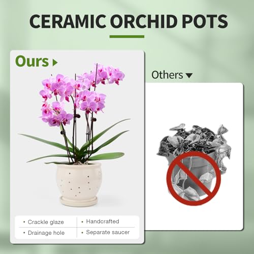 6.3" Ceramic Orchid Pots with Holes Crackle Glazed with Drainage and Separate Saucer White I93529