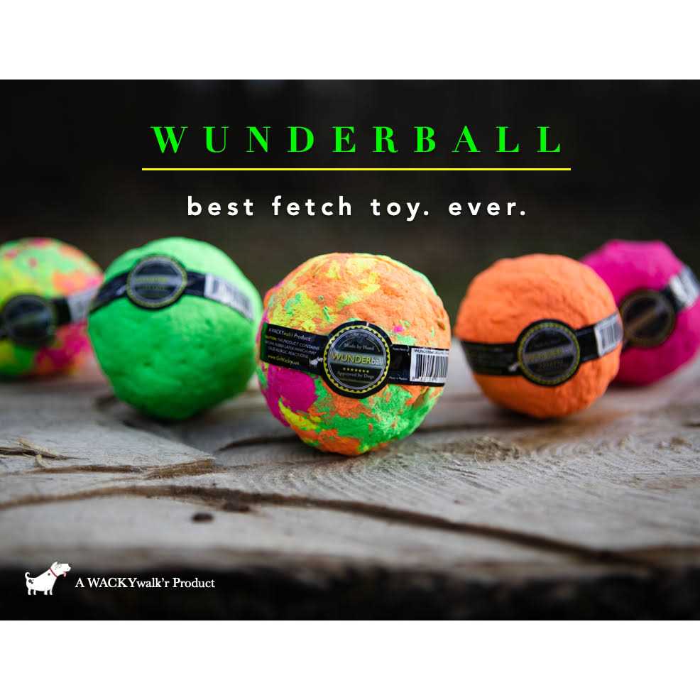 Dog Toy B4929