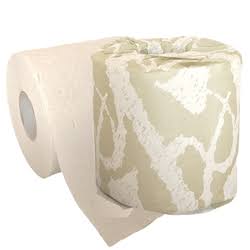 Toilet Paper 500 Sheets White E8215