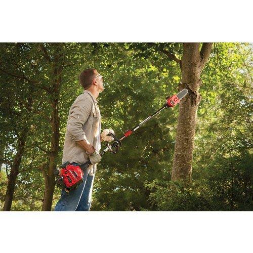 8-Inch Pole Saw with Bar and Chain F137