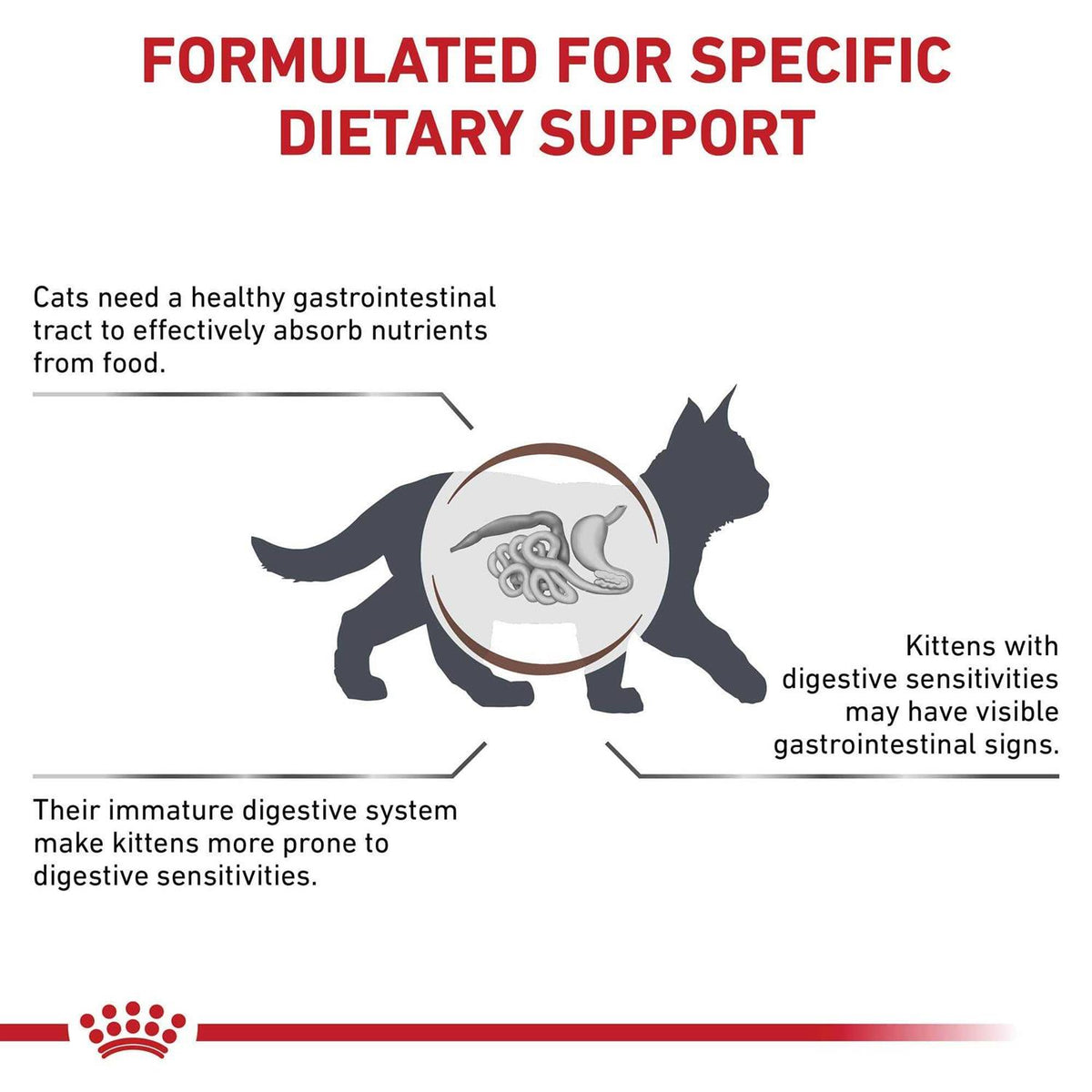 Kitten Dry Cat Food F22811