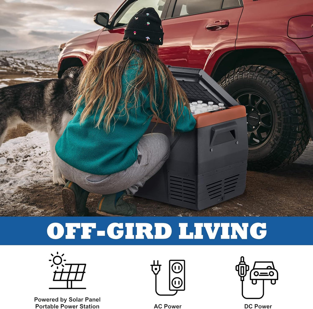 Portable 12 Volt Refrigerator Freezer R489165