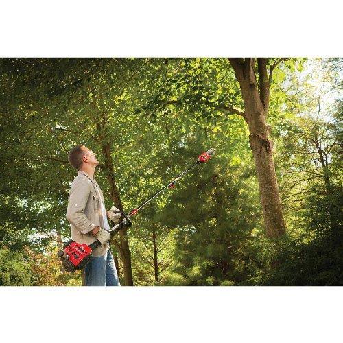 8-Inch Pole Saw with Bar and Chain F137