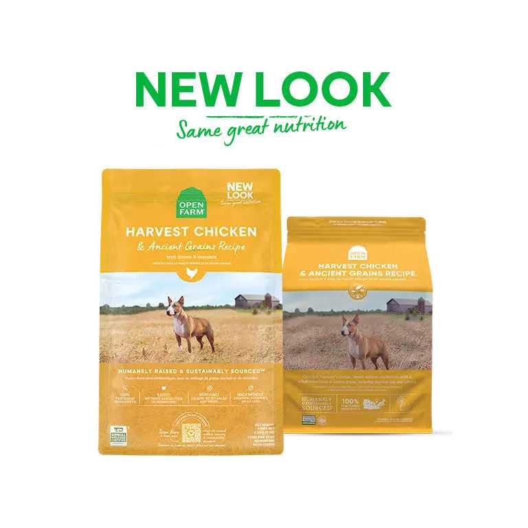 Chicken Ancient Grains Dry Dog Food R558